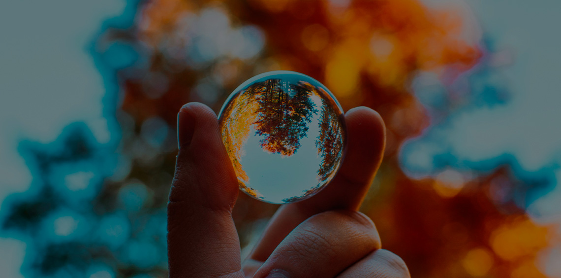 Vini dal Mondo Vini dal Mondo